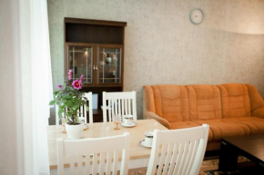  Torni Apartment  Курессааре